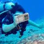 SHELLBOX универсален водоустойчив калъф за гмуркане до 15м за iPhone - сив